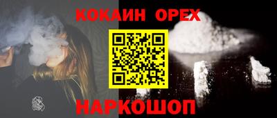 мет Кингисепп