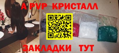 мет Кингисепп
