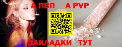 мет Кингисепп
