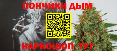 мет Кингисепп