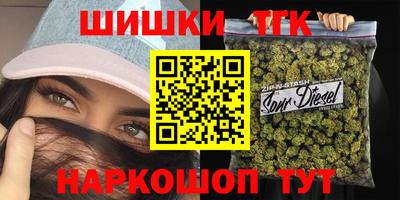 мет Кингисепп